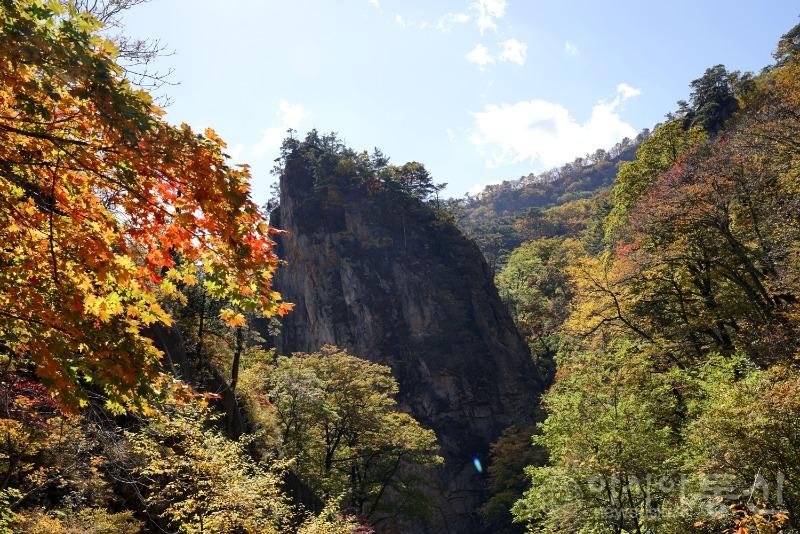 주123(보도).jpg