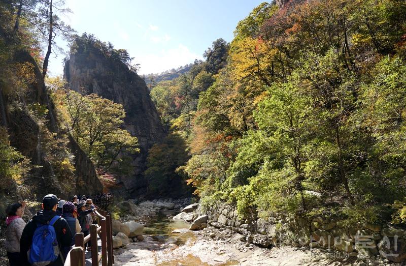 주135(보도).jpg