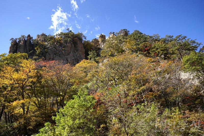 주139.jpg