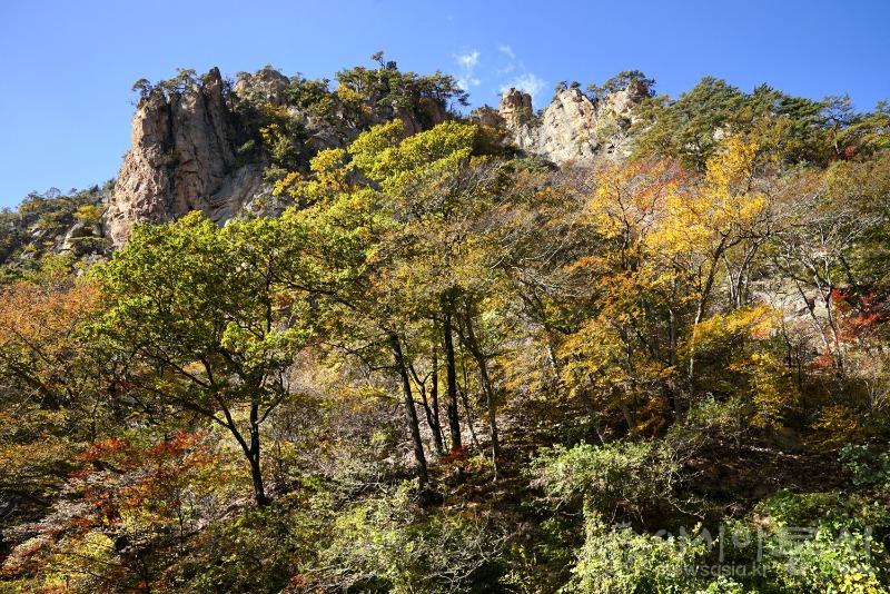 주144.jpg