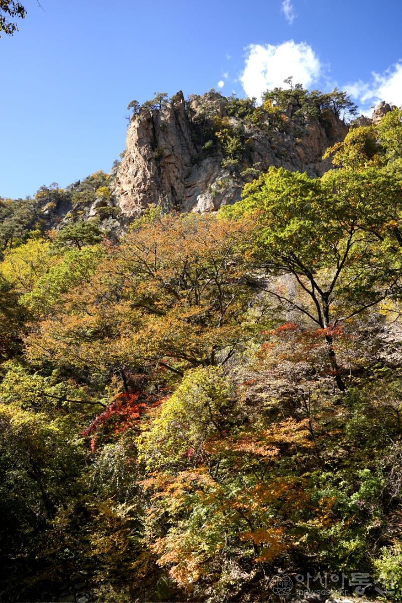 주151.jpg