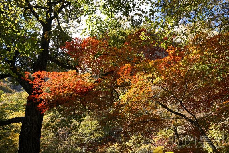 주162.jpg
