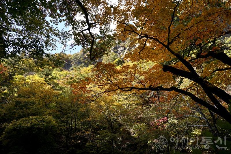 주167.jpg