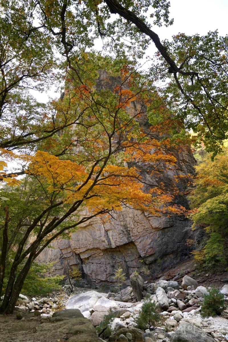 주176.jpg
