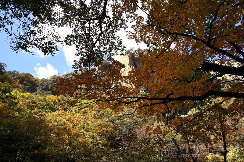 주170.jpg
