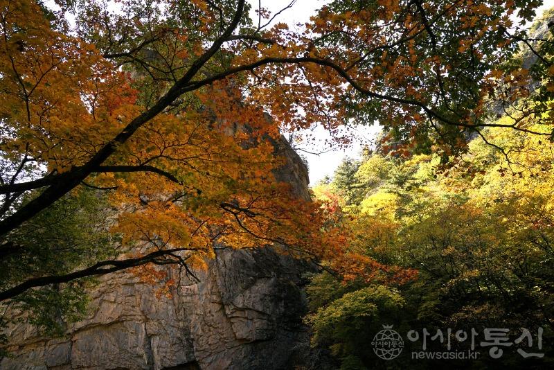 주182(작).jpg