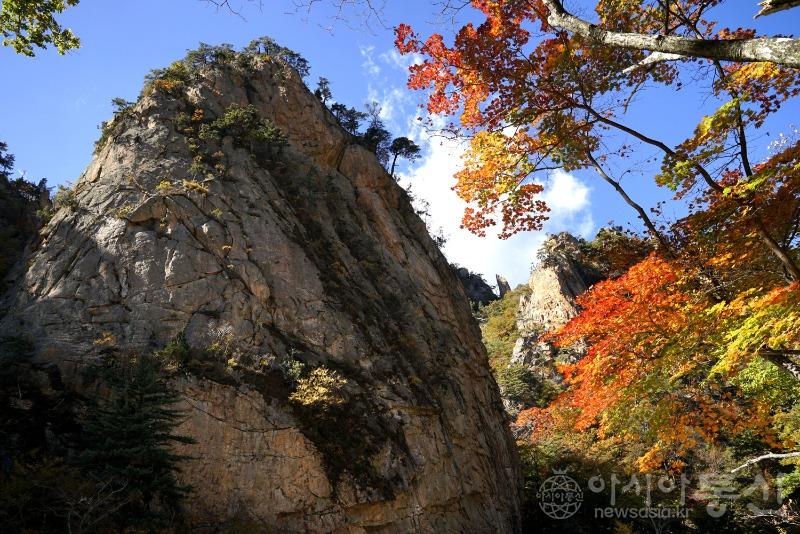 주203(작).jpg