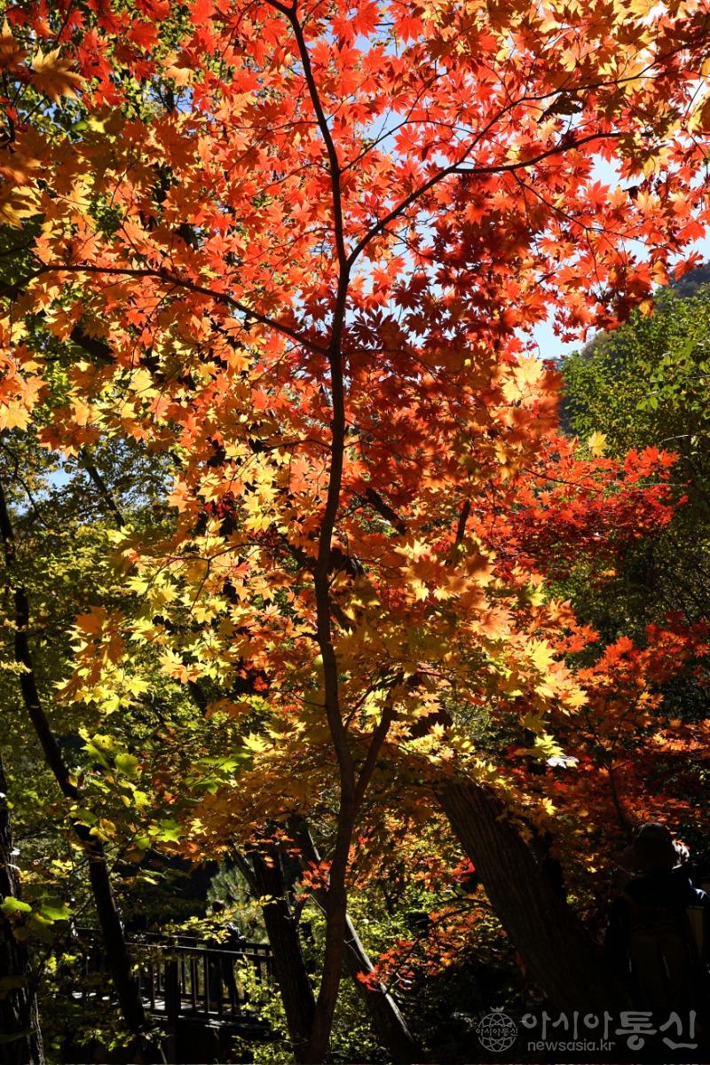 주217(작).jpg