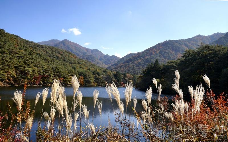 세34(보도).jpg