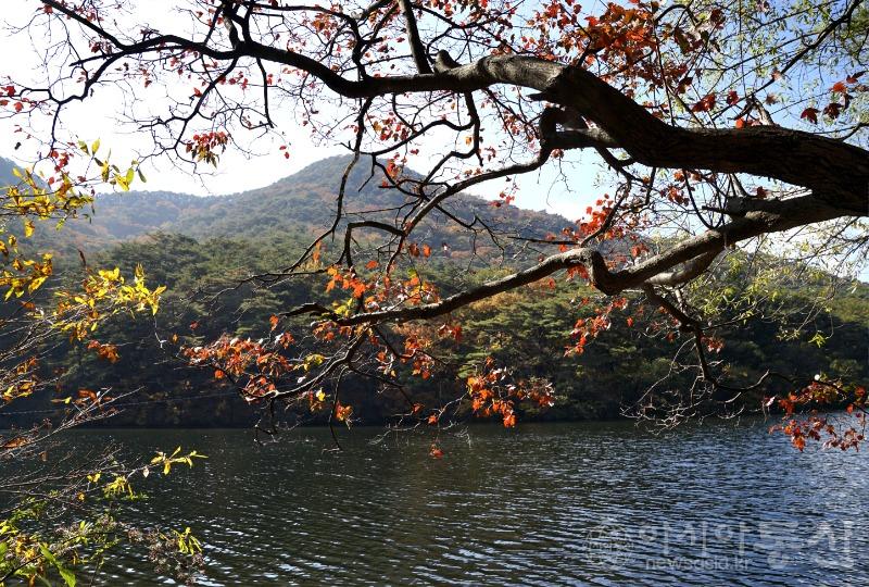 세15.jpg