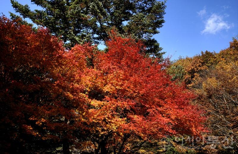 세23.jpg