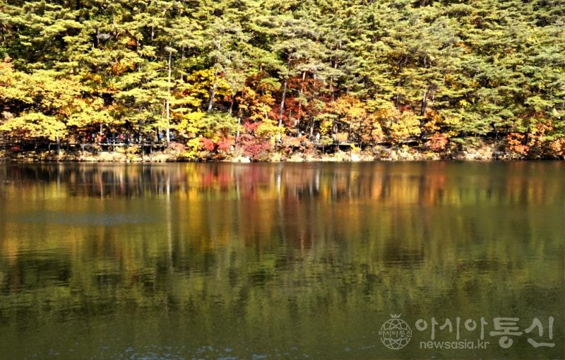 세36(보도).jpg