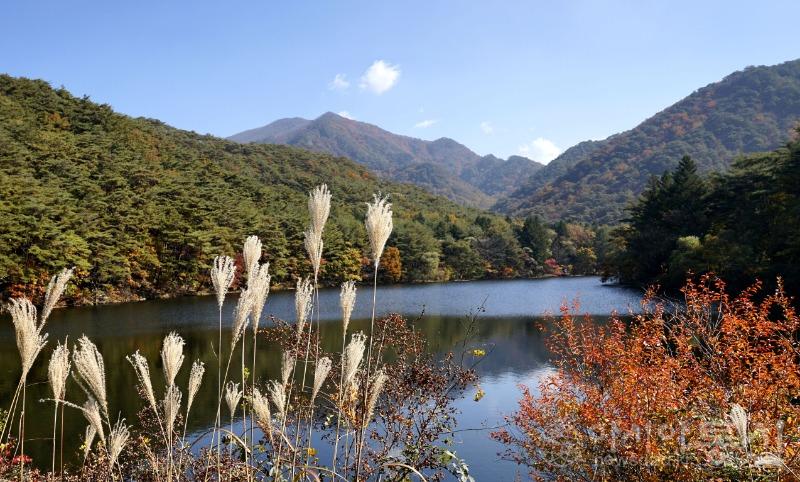 세35.jpg