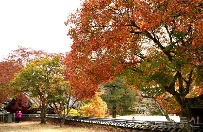 마13(작)12.jpg