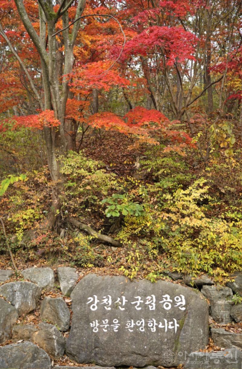 강4(작).jpg