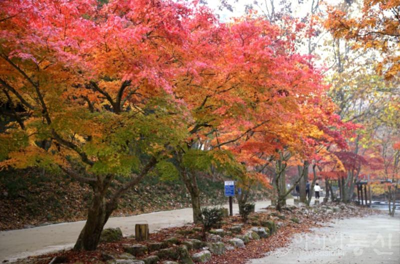 강16(작).jpg