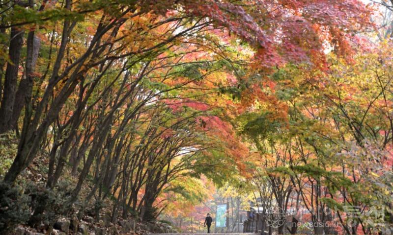 강14(작).jpg