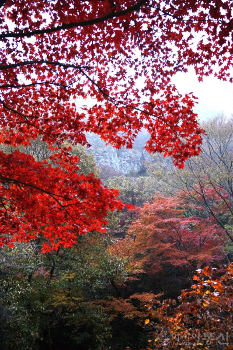강24(작).jpg