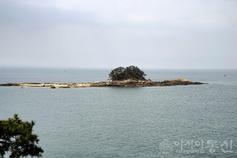 마21(작).jpg