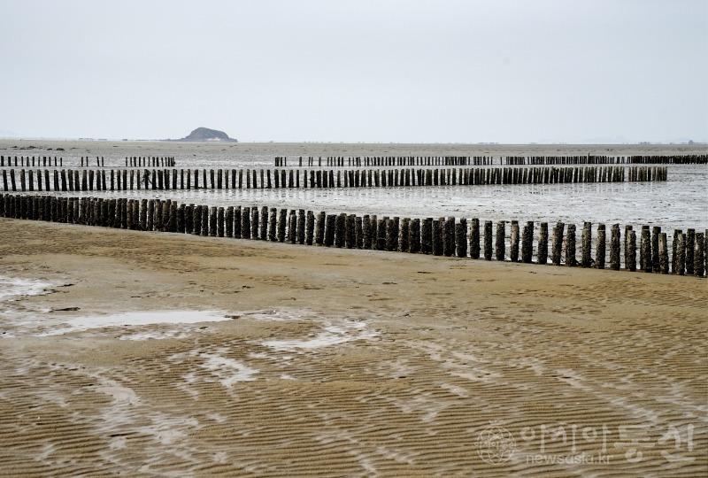 솔6(보도).jpg