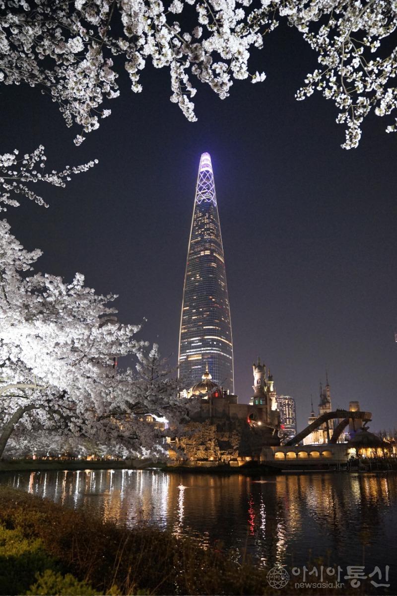 야23.jpg