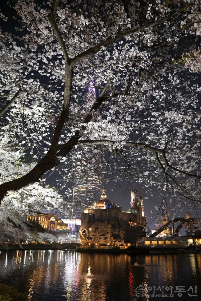야22.jpg