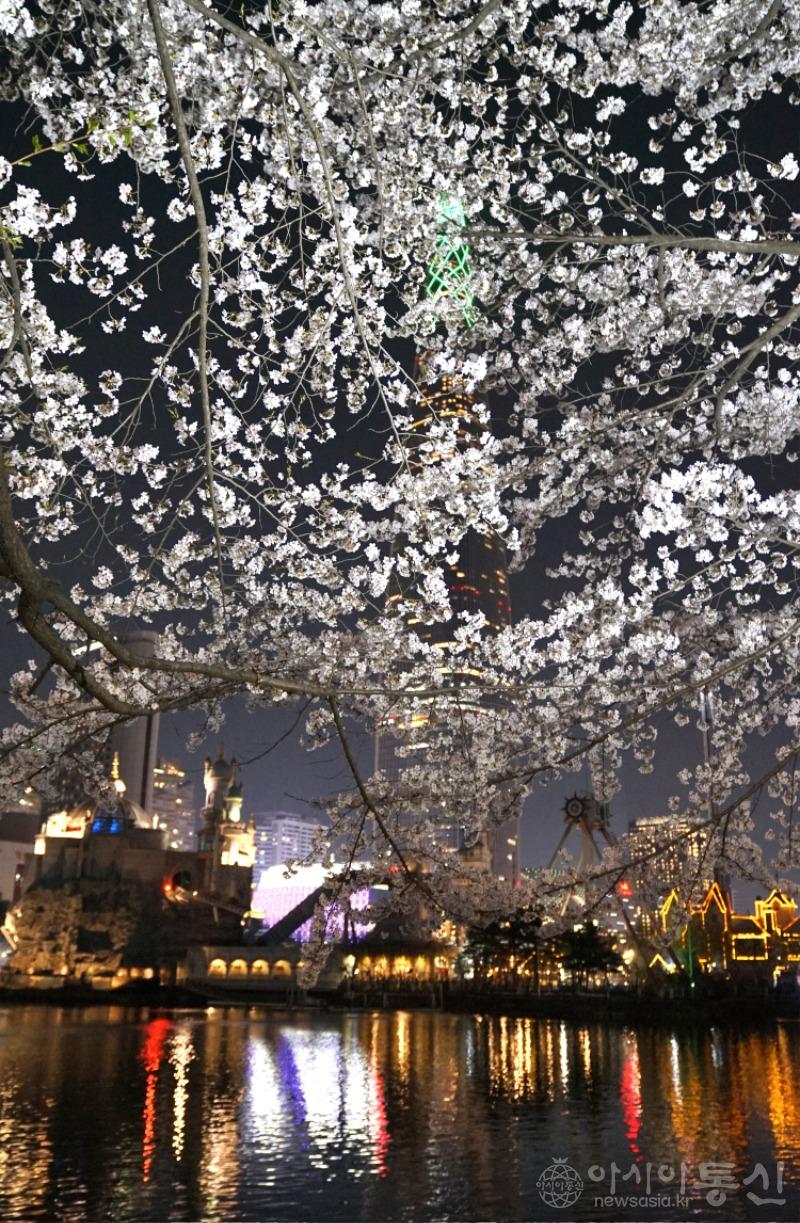 야36.jpg