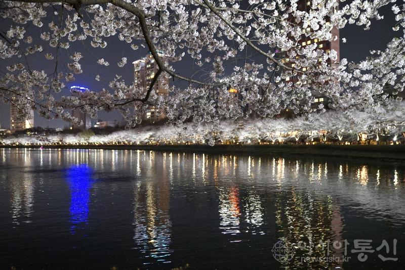 야24.jpg