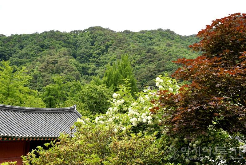 수11(작).jpg