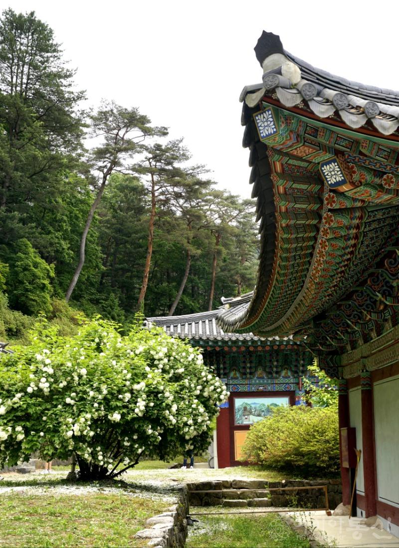 수4.jpg