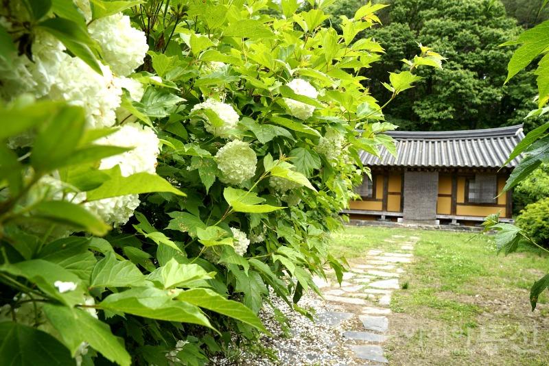 수34.jpg