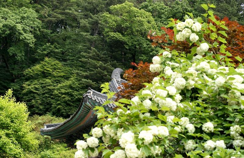 수73.jpg