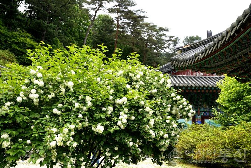 수5.jpg