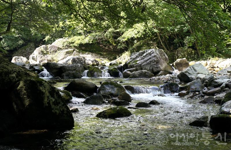 어21(보도).jpg