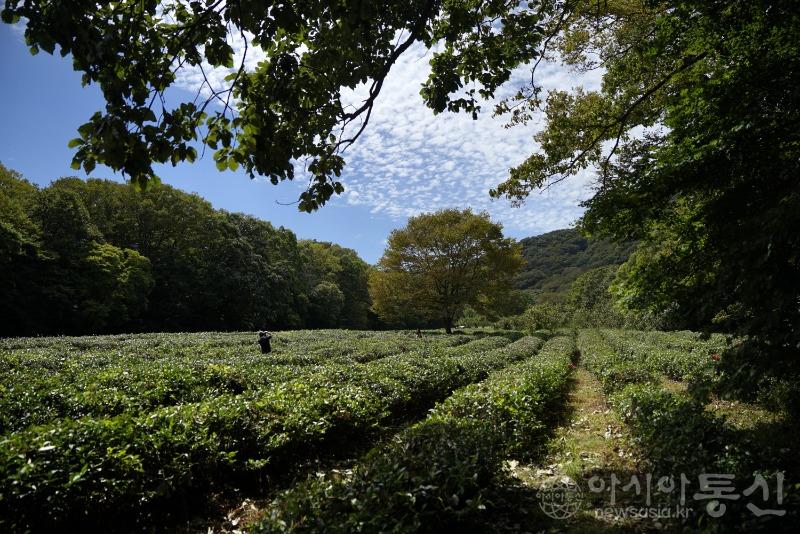 선108(작).jpg