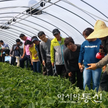 성주군 제11기 참별미소농업인대학생 모집