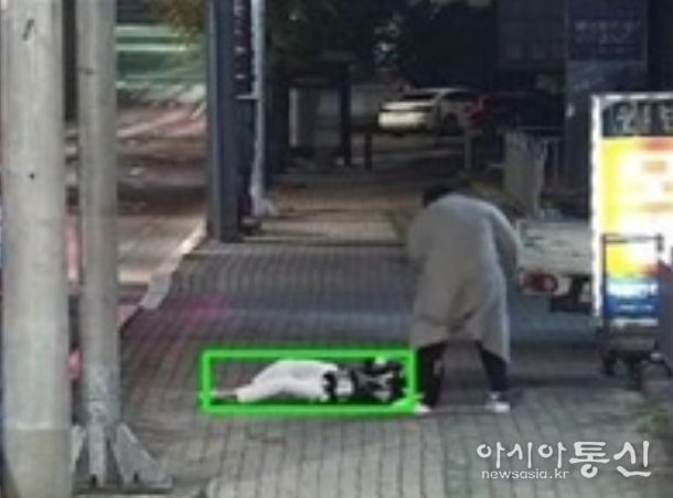 김제시, 지능형 CCTV 선별 관제로! 안전한 스마트 김제로!