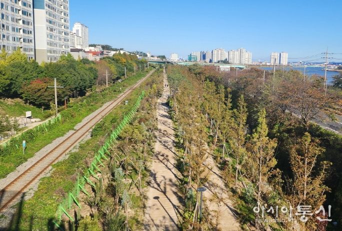포항 관문숲 조성 후.