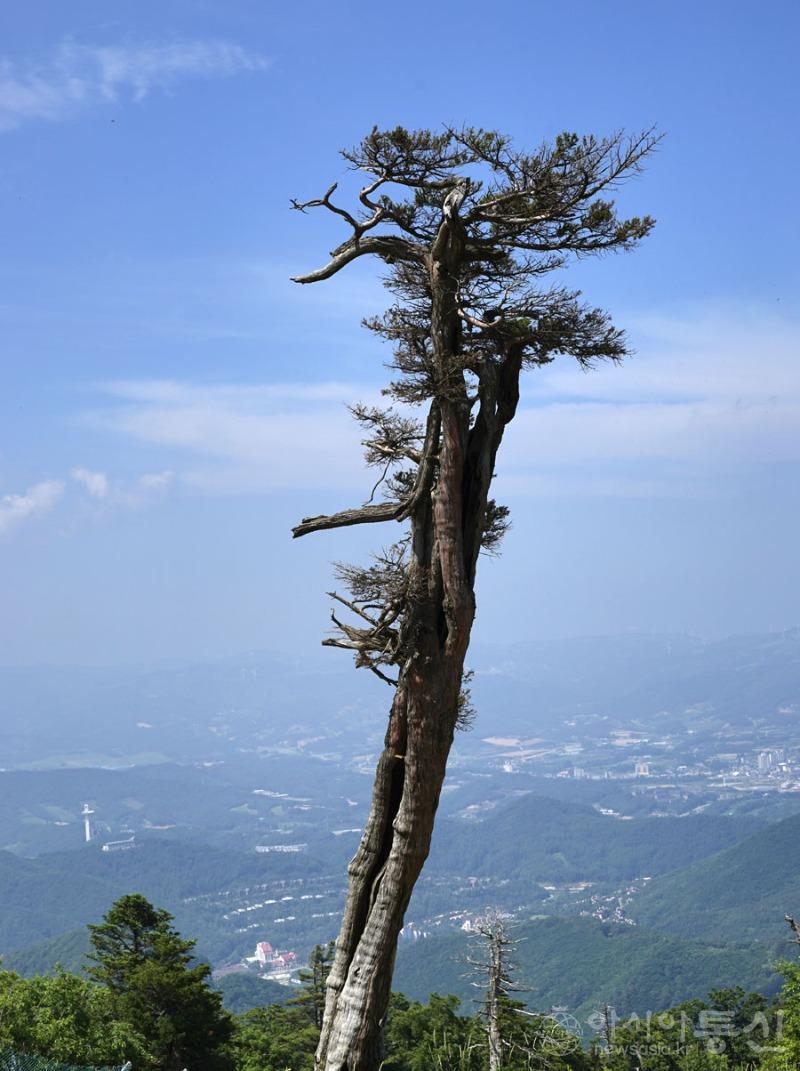 발130.jpg