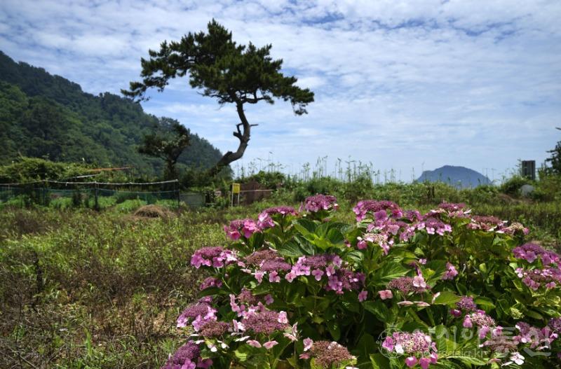 연대20.jpg