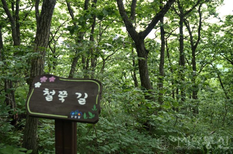 철5.jpg