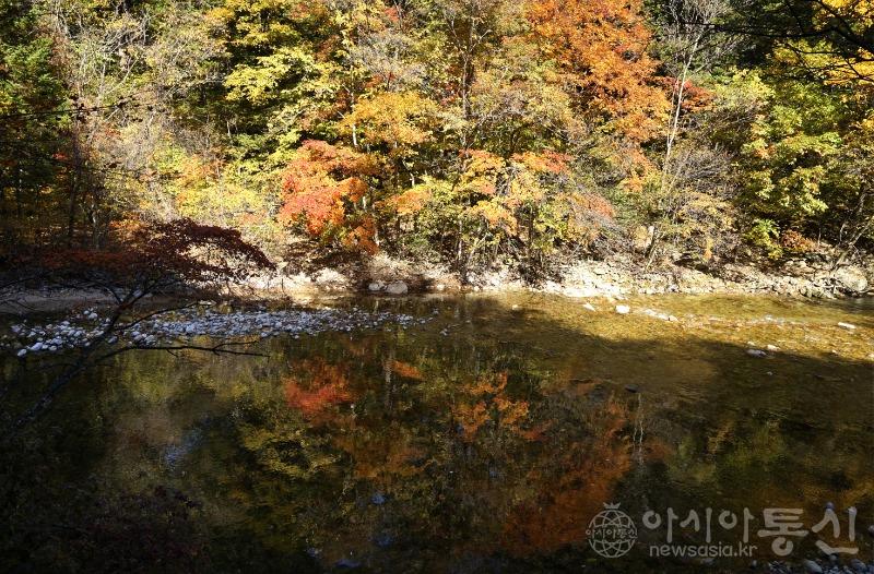 오131(작).jpg