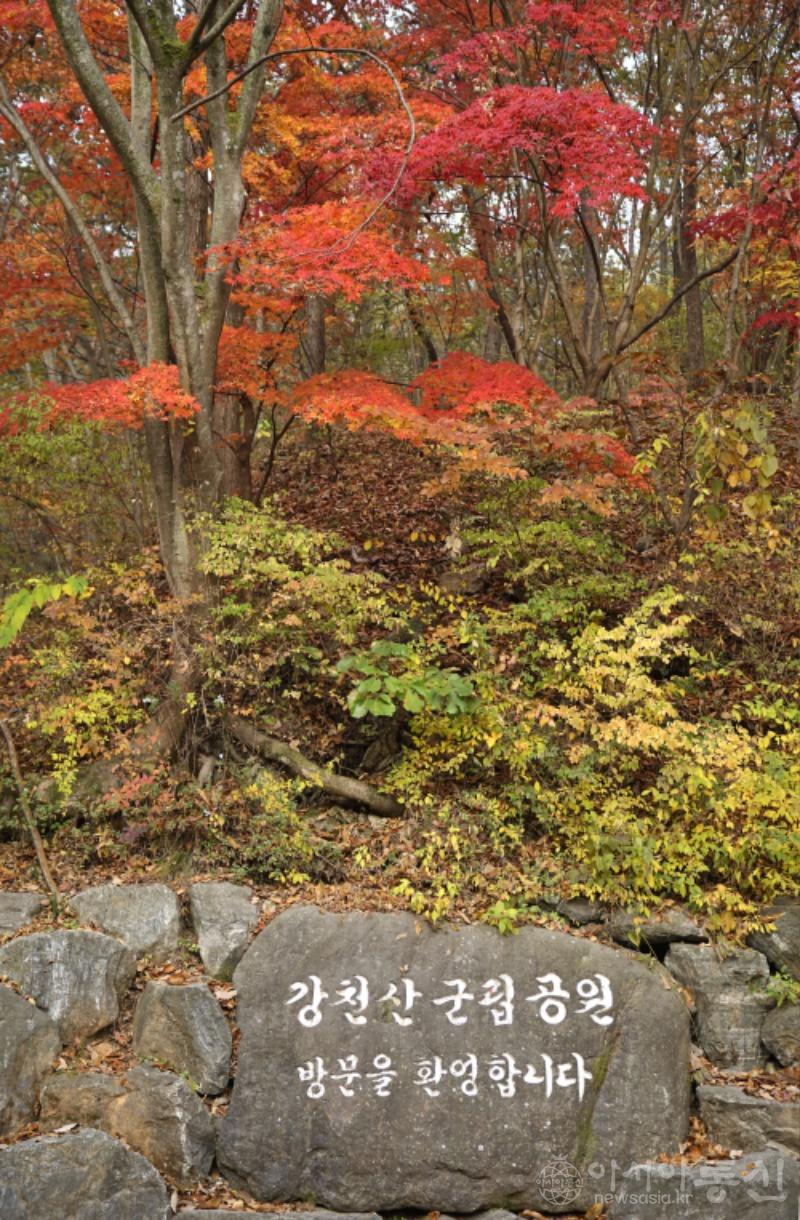 강4.jpg