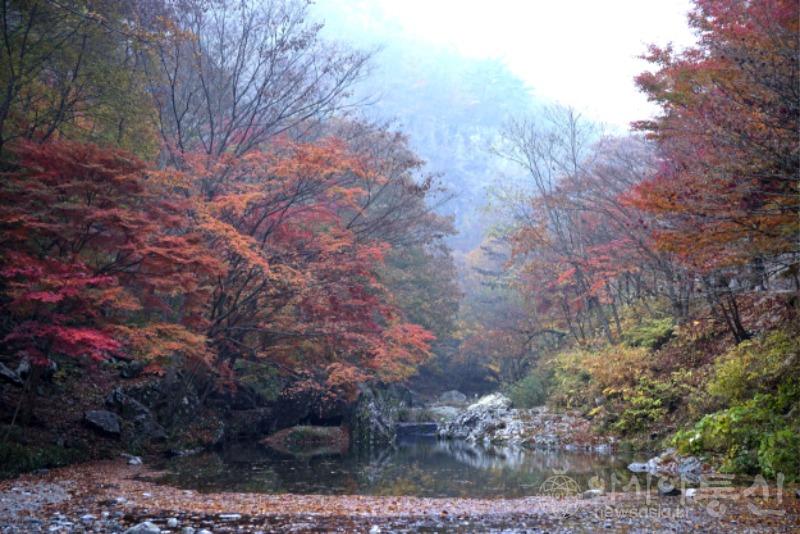 강19.jpg