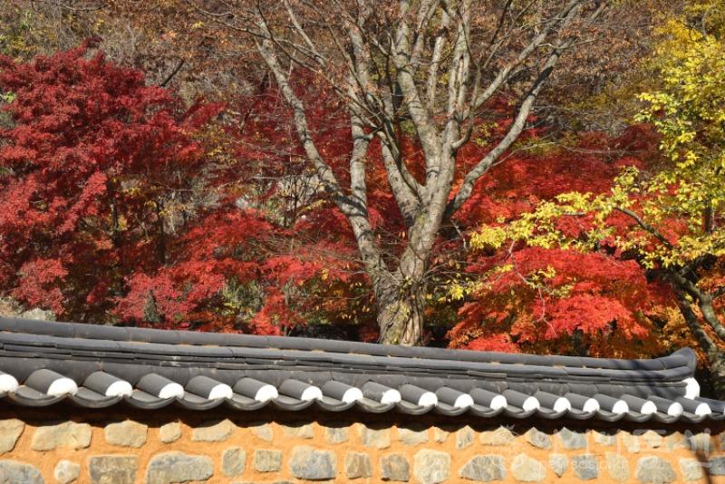 강152.jpg