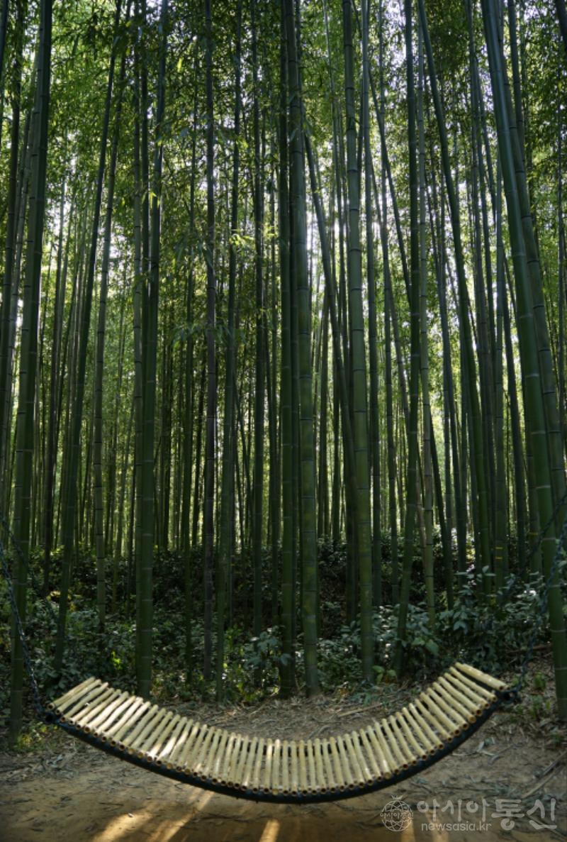 죽21.jpg