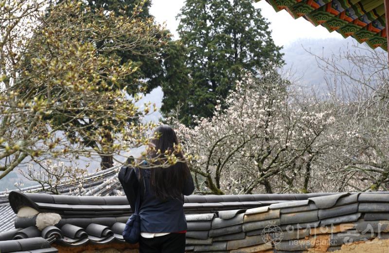 선53.jpg