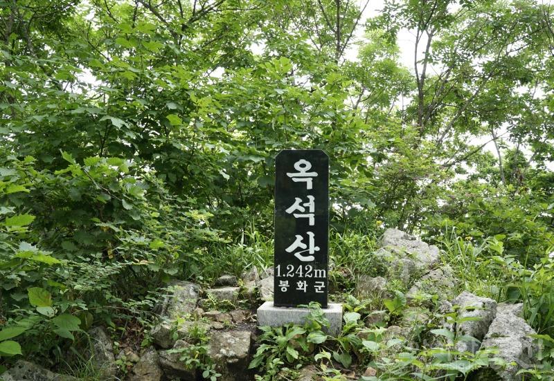 봉5.jpg