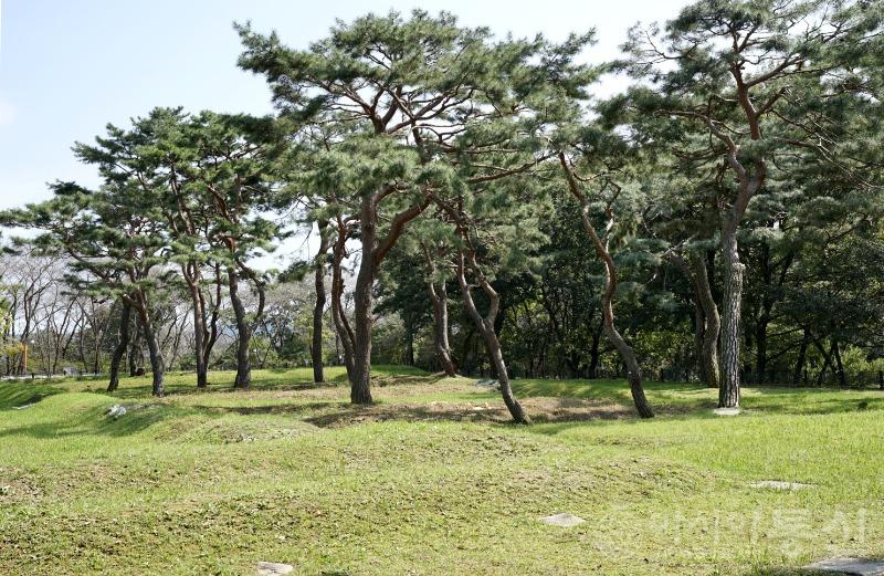 부17.jpg