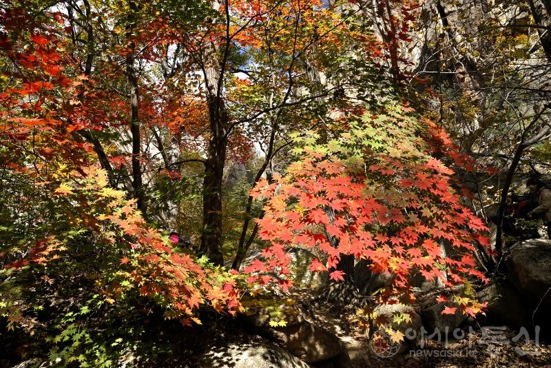 주12.jpg